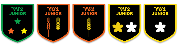 קרב מגע לילדים