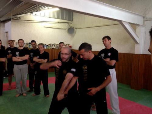 kravmaga (20)