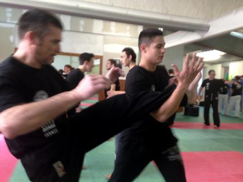 kravmaga (27)